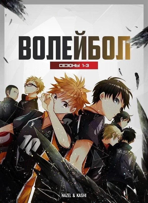 Аниме-сериал Волейбол 2014 смотреть онлайн бесплатно в хорошем качестве