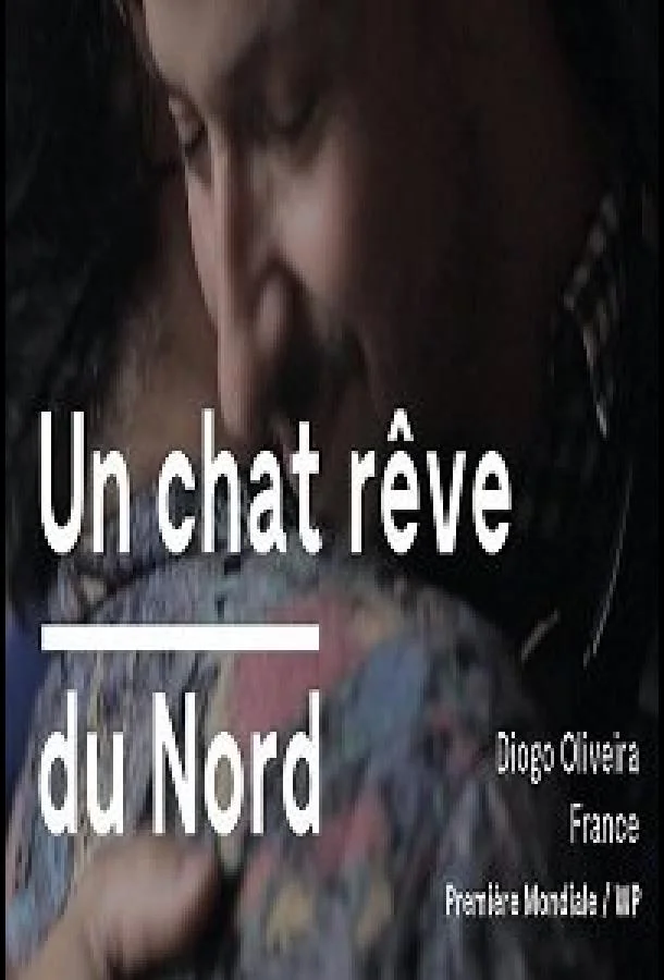 Фильм Кот, мечтающий о севере 2020 смотреть онлайн бесплатно в хорошем качестве