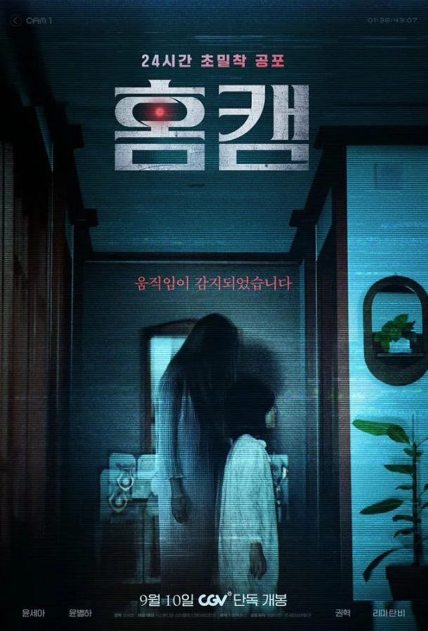 Фильм Домашняя камера 2025 смотреть онлайн бесплатно в хорошем качестве