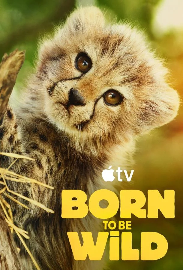 ТВ шоу Возвращение в дикую природу 2025 смотреть онлайн бесплатно в хорошем качестве